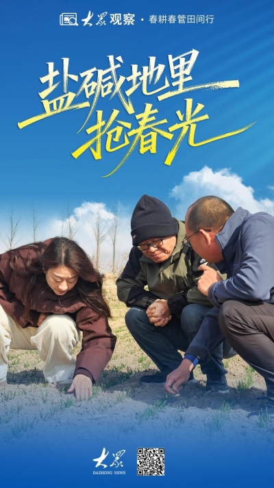 受去年秋汛影响，小麦晚播苗情偏弱，山东“农技壮苗”在行动，盐碱地里抢春光