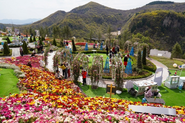山东淄博：繁花绽放激活春日“赏花经济”