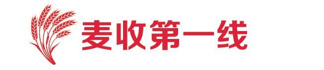 “00后”新农人的“麦收经”