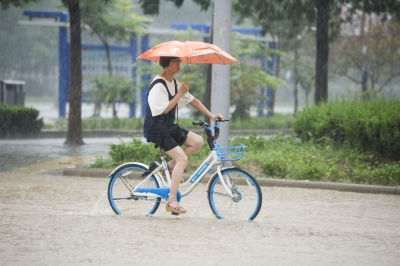 截至14时，全市平均降水5毫米，最大降水量武城甲马营，42.4毫米！