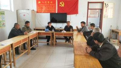 省委派驻平原县王庙镇孙庄村党支部书记宋文彬：打造留得住乡愁的靓丽新村