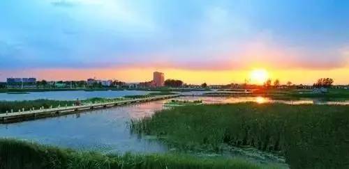 德州唯一！夏津县获省文化消费示范县创建资格