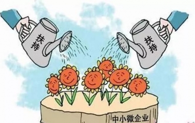 贯彻落实小微企业“双升”战略，我市做了这些工作