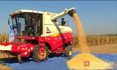 读德州 | 给力！看平原如何舞活三条绿色“产业龙”！