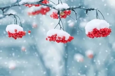今日大雪 | 德州气温断崖式下降！最低温-12℃，最高温-2℃