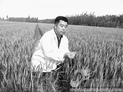 刘俊升