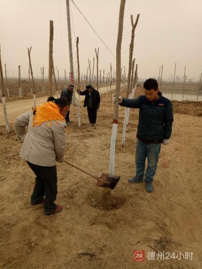 临邑闫家村党支部书记吴金松逐户了解村民需求，列计划逐条解决|“民生账单”1年销号3件大事