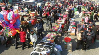 视频 | 寻找德州年味最浓的地方：袁桥大集