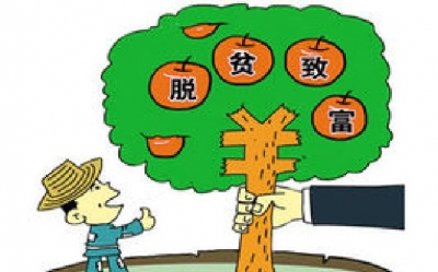 市派村党支部书记赵静：村民需要的，就是我该做的