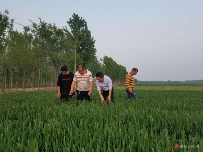 勇海家庭农场：沼液做肥料，提质又增效