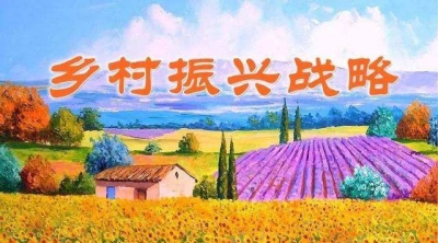 对我市深入实施乡村振兴战略的调查与思考：在能够突破的地方率先突破