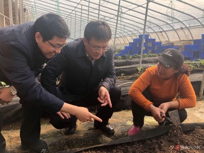 张传忠到禹城调研时要求：践行新发展理念 坚持以人民为中心的发展思想 努力推动高质量发展