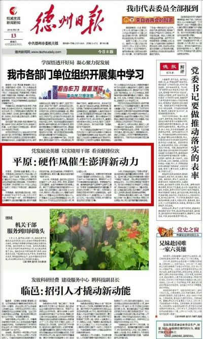 平原：硬作风催生澎湃新动力