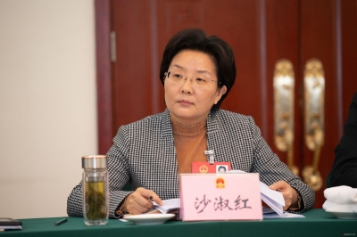 省人大代表、宁津县县长沙淑红：推动特色产业全面跃升