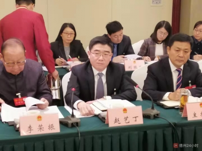 赵艺丁到夏津县代表团审议政府工作报告  张桂爱参加
