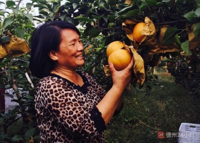 巾帼能人的绿色梦想 | 全国三八红旗手孙京梅回乡创业带富2700余名乡亲