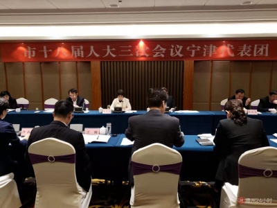 杨玖庆参加宁津代表团分组讨论时强调：深化平安德州建设，为经济社会发展保驾护航