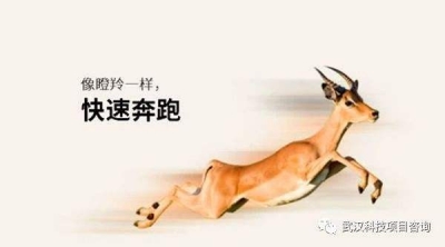 我市9家企业获“省瞪羚企业”称号   政府助力企业“高跳快跑”