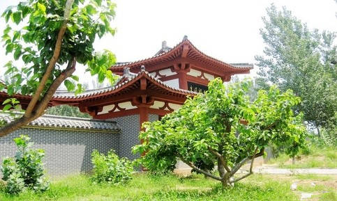 多主题打卡 多地域助推 | 临邑旅游“火”起来