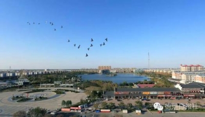 “期中”考表态发言 | 庆云县委书记王晓东：立足效益抓招商 夯实基础抓发展