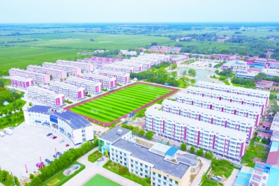 乡村振兴·率先突破 | 禹城辛店镇：全域化谋振兴 项目化抓落实