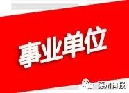 517人！德州6县市区事业单位招聘开始！哪个岗位适合你？