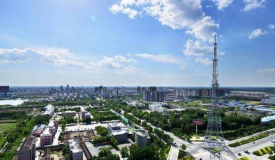 齐河：生产托管“托”起现代农业，社员年均增收20%