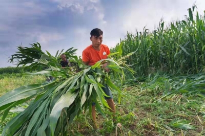 视频 | 夏津退役军人李开阳：把蚂蚱卖到京津冀，带动全村建起近200个养殖棚