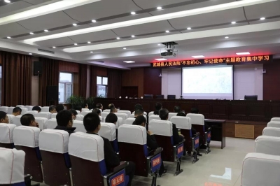 武城法院开展“不忘初心、牢记使命”主题教育：深入学习新时代泰山“挑山工”精神