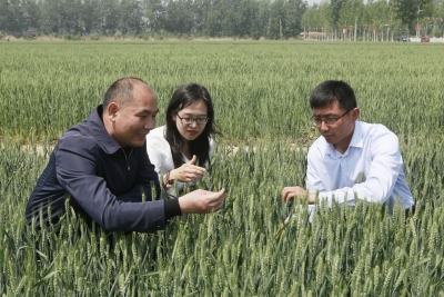 上项目、引人才、建社区—— 扎根基层这些省直干部好样的