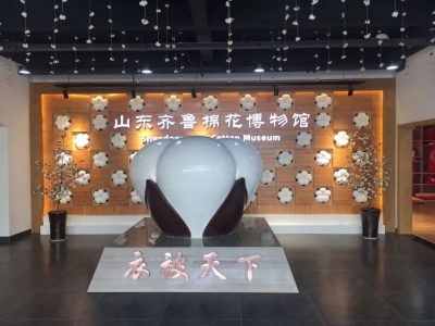 夏津建成山东省首家棉花主题博物馆 陈列棉花展品400余件
