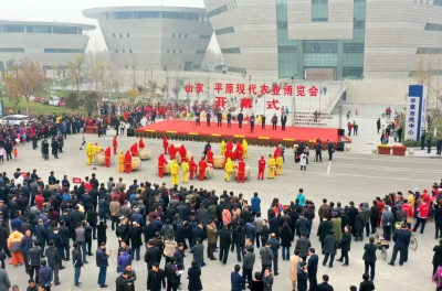 视频 | 山东·平原现代农业博览会开幕