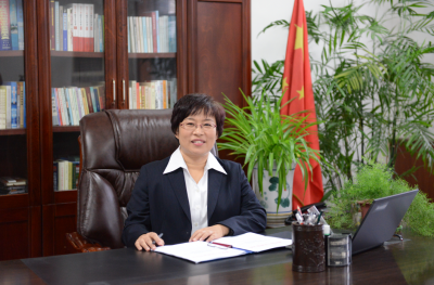 德报观点 | 王洪霞：“一星四化”乡村治理的平原探索