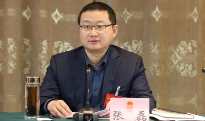 书记县长议报告说发展 | 市人大代表，武城县委书记张磊：集群式发展，推动特色产业升级