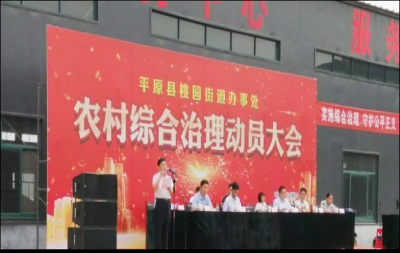 平原：构筑“一星四化”乡村治理模式