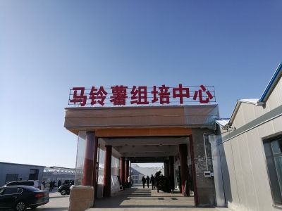 由希森集团建设，全国最大马铃薯组培中心投用！可向全国供种300万吨
