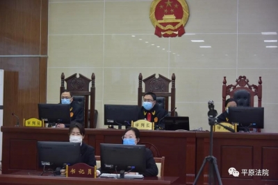 平原法院：班子成员带头“在线”开庭，“隔空”审案成为常态