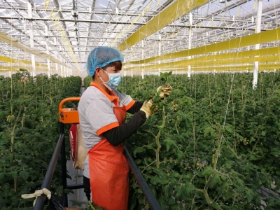 庆云：稳住民生“菜篮子