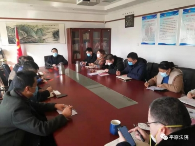 印发宣传资料500余份，地毯式走访，平原法院多措并举抗击疫情