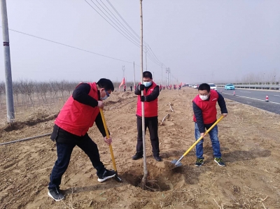 庆云：500名志愿者义务植树