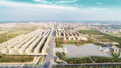 若待武城花似锦 出门俱是看花人