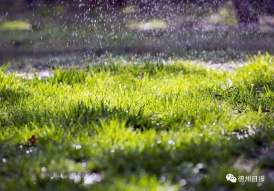 且行且思 | 这个春天学会打扮生命