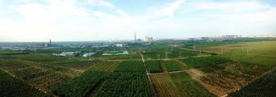 德州运河经济开发区生态修复三年规划完成