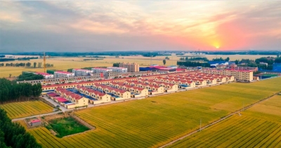 多规合一，城乡融合！打造乡村振兴齐鲁样板“宁津实践”