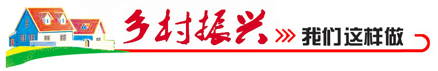 乐陵:农资直购 223村尝甜头