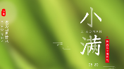 78秒 | 小满：德州782万亩小麦长势喜人  风吹麦浪，丰收在望