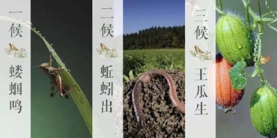 德报说节气 | 今日立夏！南风习习，夏日初长