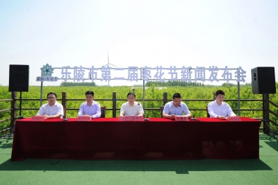 5月30日到乐陵赏枣花、吃美食、看演出啦！乐陵市举办第二届枣花节新闻发布会