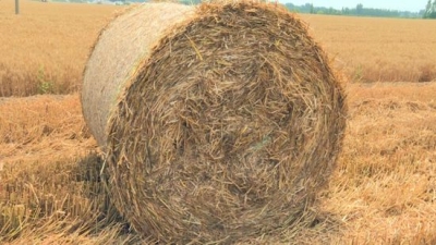 齐河县安头乡用上“千里眼”，全覆盖全天候全时段零死角监控秸秆焚烧