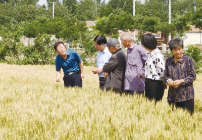 义渡口镇：种植技术培训送到老百姓田间地头